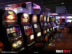 selvapg|Plataforma de Cassino com Mais de 1000 Slots – Baixe o App