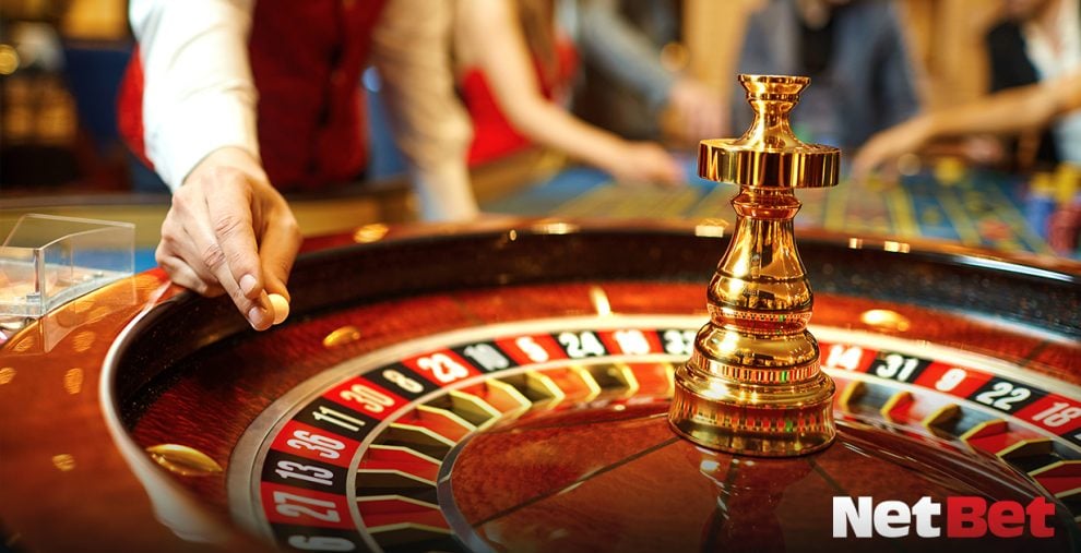 selvapg|Top Cassino Brasileiro com Suporte VIP 24h – Baixe o App